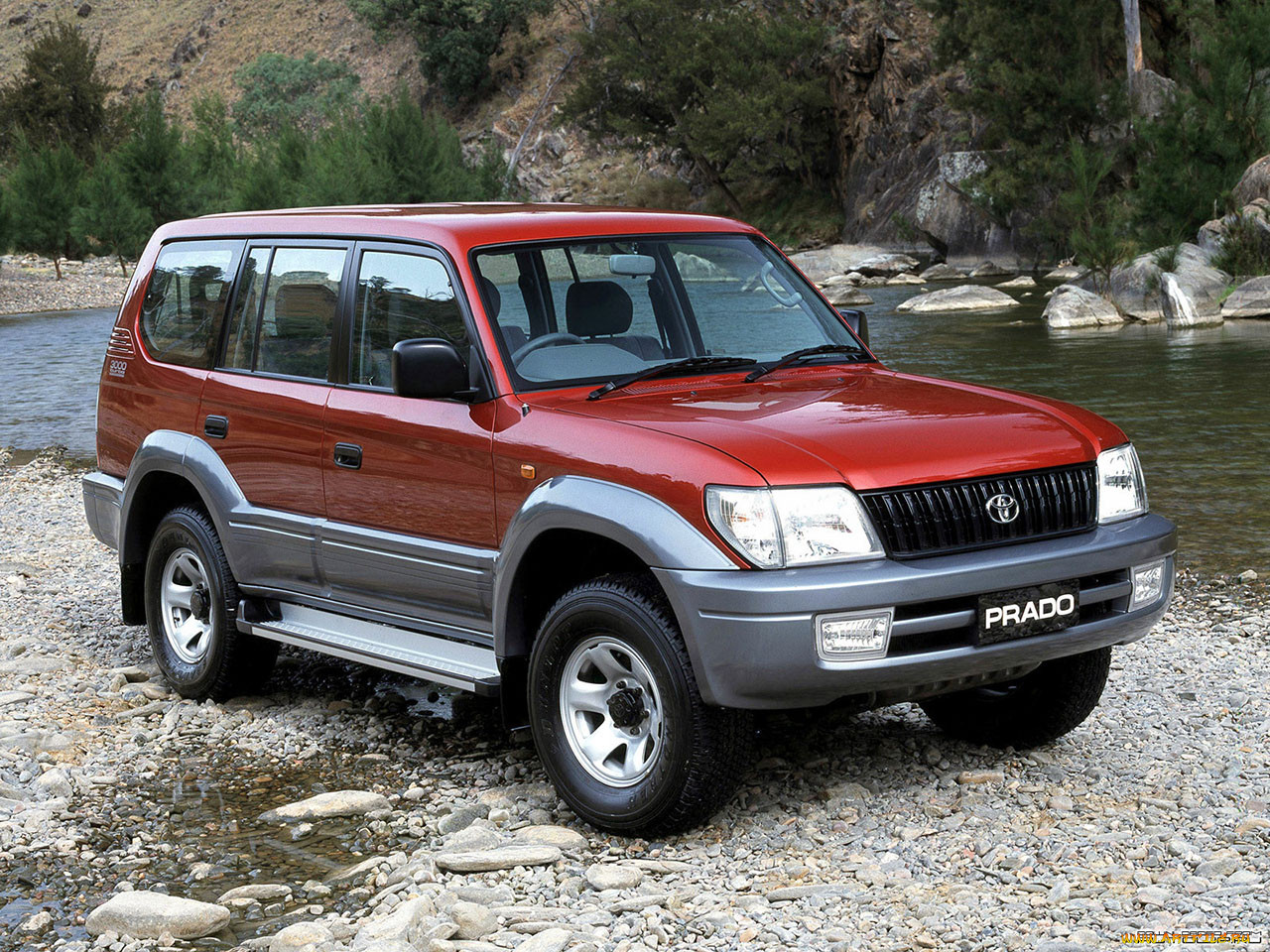 , toyota